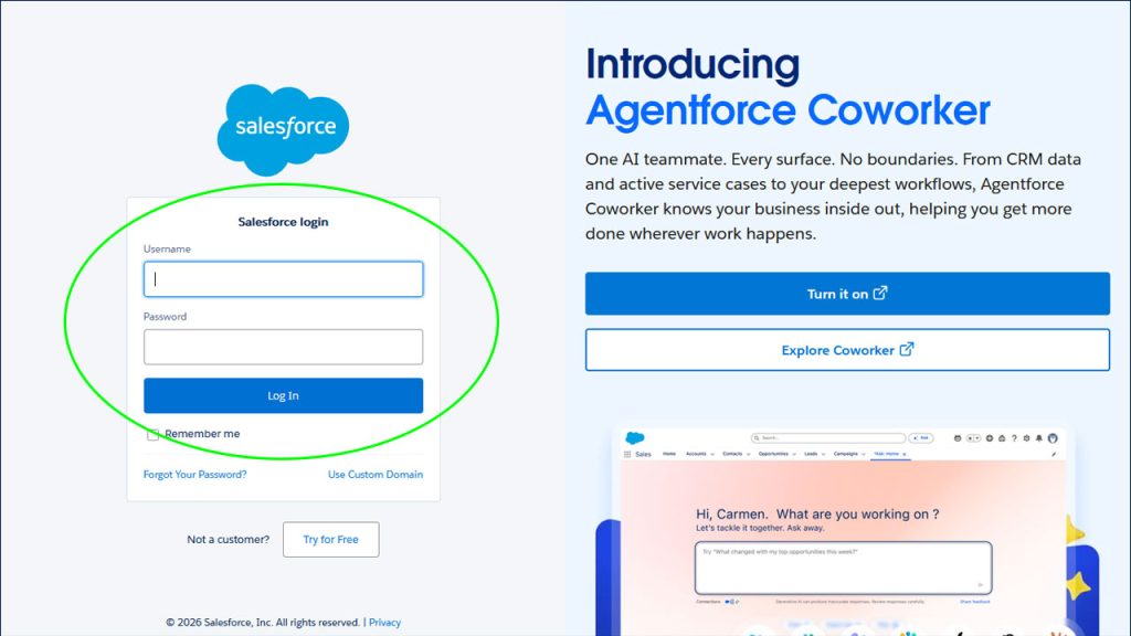 WordPress Salesforce integration setup - Salesforce developer login panel
